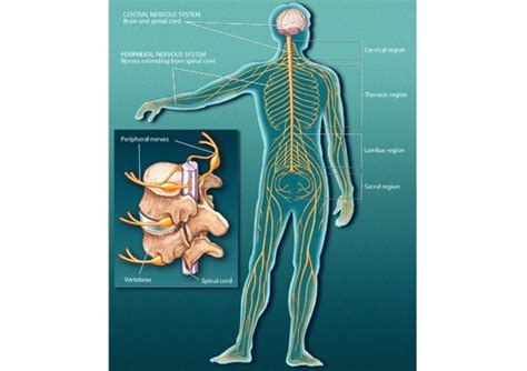 Lamig! Filipino word for muscle spasm – docMIKE's Blog.